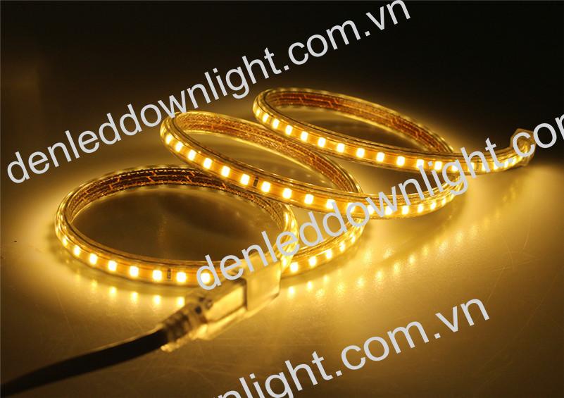 Đ&egrave;n led d&acirc;y 2835 d&ugrave;ng điện 220V cuộn d&agrave;i 100m m&agrave;u v&agrave;ng, loại tốt, gi&aacute; rẻ, si&ecirc;u s&aacute;ng