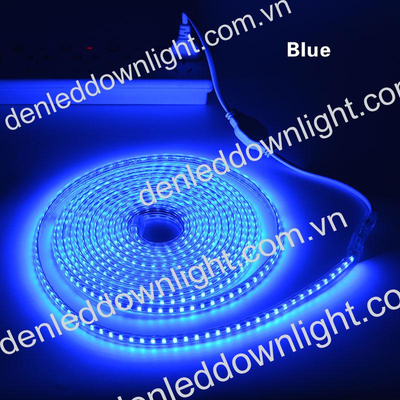Đ&egrave;n led d&acirc;y 2835 d&ugrave;ng điện 220V cuộn d&agrave;i 100m m&agrave;u xanh dương, loại tốt, gi&aacute; rẻ, si&ecirc;u s&aacute;ng