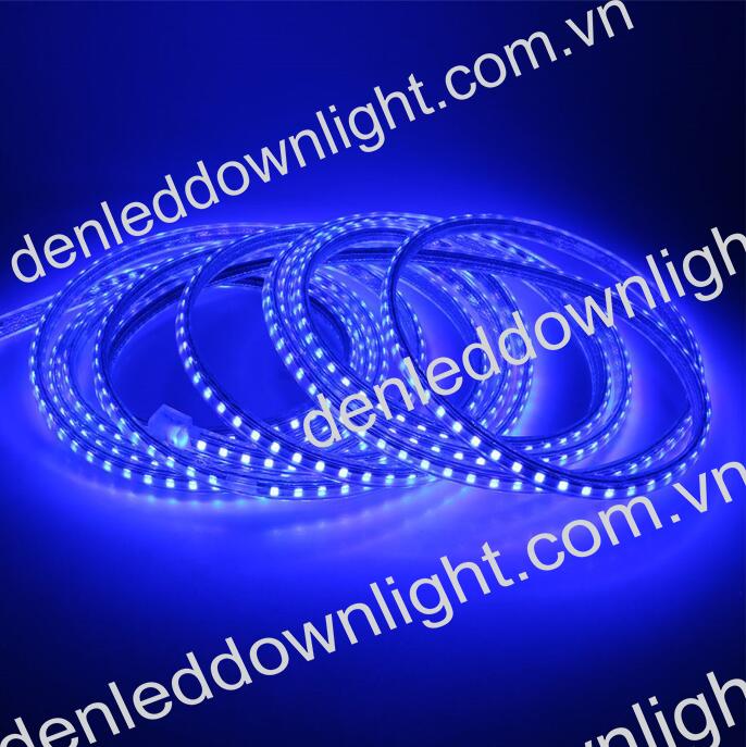 Đ&egrave;n led d&acirc;y 2835 d&ugrave;ng điện 220V cuộn d&agrave;i 100m m&agrave;u xanh dương, loại tốt, gi&aacute; rẻ, si&ecirc;u s&aacute;ng