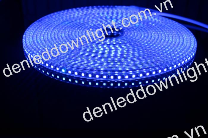 Đ&egrave;n led d&acirc;y 2835 d&ugrave;ng điện 220V cuộn d&agrave;i 100m m&agrave;u xanh dương, loại tốt, gi&aacute; rẻ, si&ecirc;u s&aacute;ng