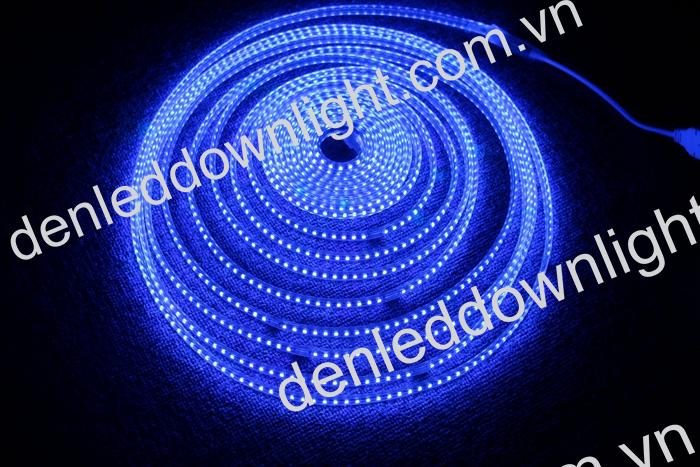 Đ&egrave;n led d&acirc;y 2835 d&ugrave;ng điện 220V cuộn d&agrave;i 100m m&agrave;u xanh dương, loại tốt, gi&aacute; rẻ, si&ecirc;u s&aacute;ng