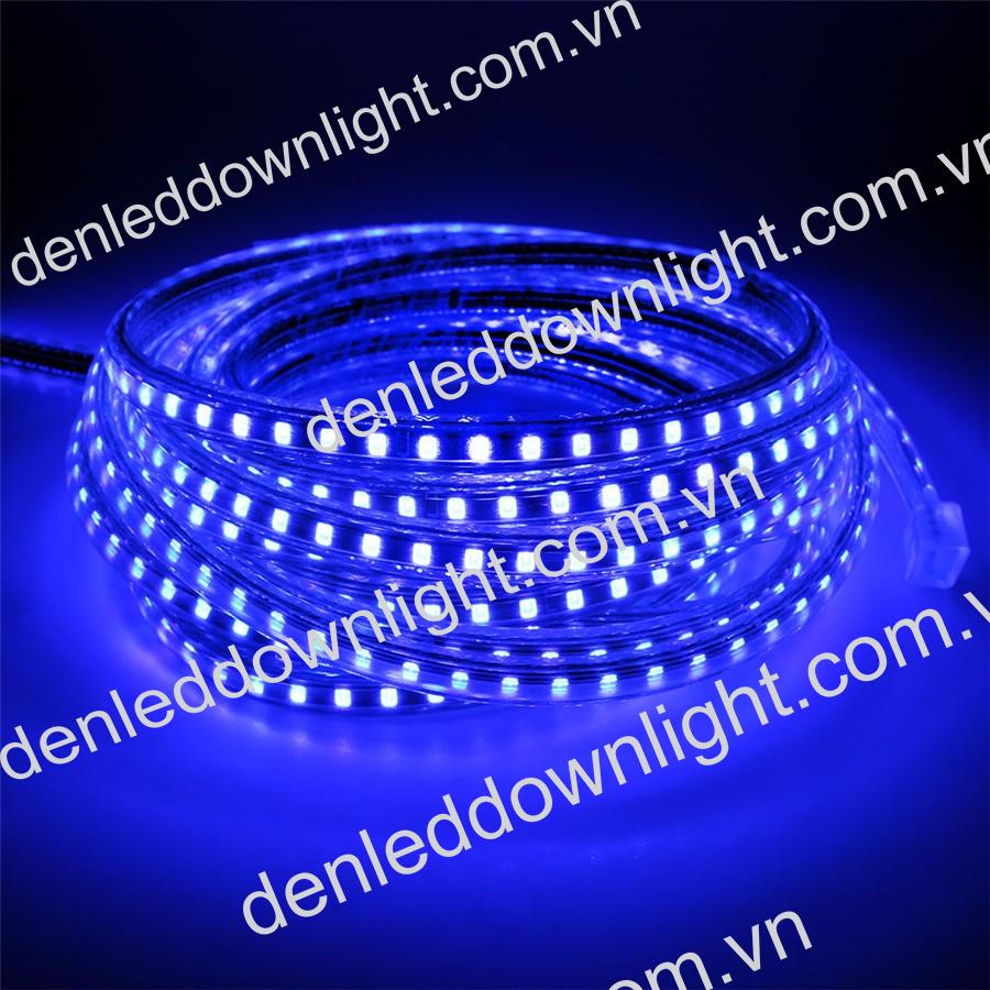 Đ&egrave;n led d&acirc;y 2835 d&ugrave;ng điện 220V cuộn d&agrave;i 100m m&agrave;u xanh dương, loại tốt, gi&aacute; rẻ, si&ecirc;u s&aacute;ng