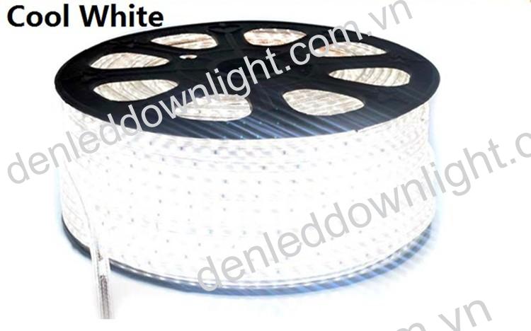 Đ&egrave;n led d&acirc;y 3014 d&ugrave;ng điện 220V cuộn d&agrave;i 100m, loại tốt, gi&aacute; rẻ, si&ecirc;u s&aacute;ng