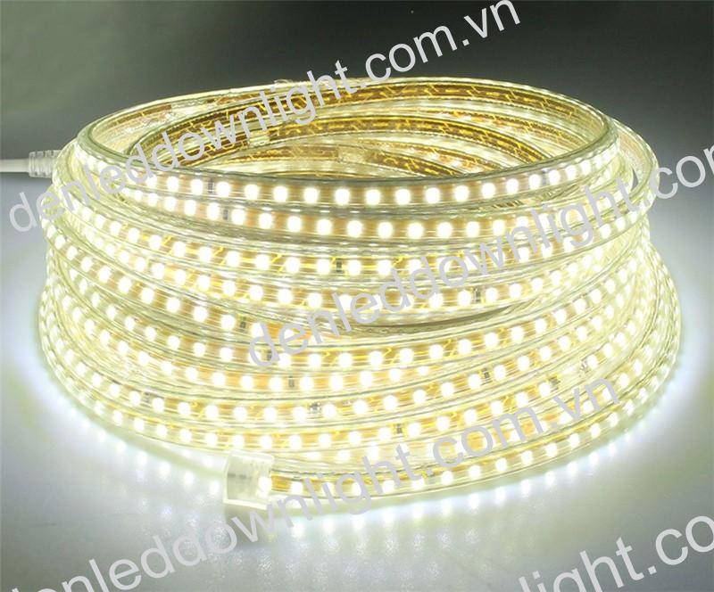 Đ&egrave;n led d&acirc;y 3014 d&ugrave;ng điện 220V cuộn d&agrave;i 100m, loại tốt, gi&aacute; rẻ, si&ecirc;u s&aacute;ng