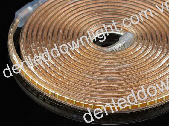 Đ&egrave;n led d&acirc;y 3014 d&ugrave;ng điện 220V cuộn d&agrave;i 100m m&agrave;u xanh l&aacute;, loại tốt, gi&aacute; rẻ, si&ecirc;u s&aacute;ng