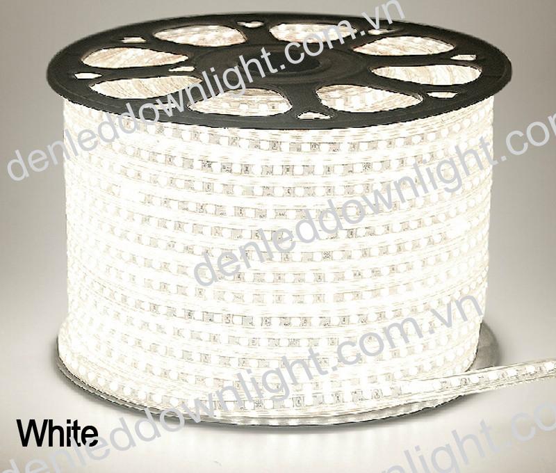 Đèn led dây 5050 màu trắng dài 100m, loại tốt, giá rẻ, siêu sáng, dùng chiếu sáng nội thất, ngoài trời, quấn gốc cây